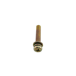 Earthquake (300438) - Bolt M5-25mm Washer -Substitute (W1200161)
