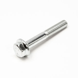 Earthquake (400021) - Bolt M6-1 X 40mm Hhf