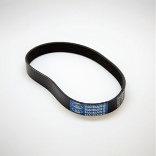 Ardisam (332045) - Belt Forward