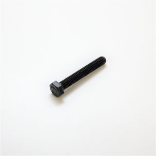 Earthquake (10060402B) - M6X40mm Hex Head Bolt