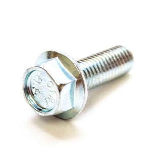 Earthquake (38199) - Bolt M10-1.5X30 Sfh Gr8.8 ZN F-T