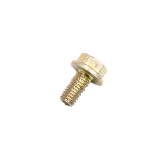 Viper Engine (4691) - Bolt M4 X .7 X 10Mm Phillips P
