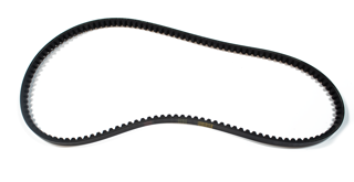 Ardisam (42942) - V-Belt