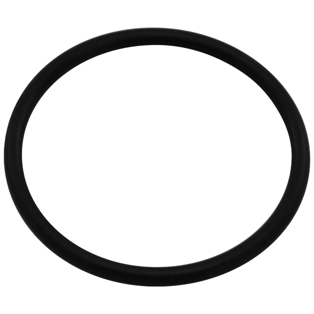 113212 (Squibb Taylor) O-Ring-Ml Tip 1-1/2 Flo-Max