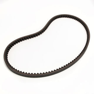 Earthquake (22694) 18036 - Belt V 4L 12 X 876 Tooth