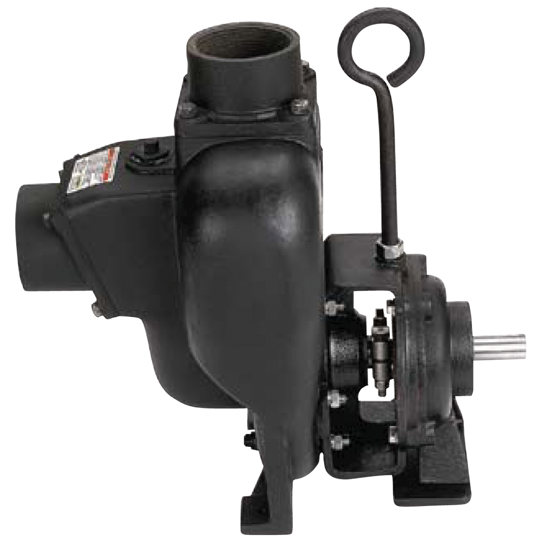 300PBI (Banjo) Pump-3 Ci Bearng Ped 1 Shaft