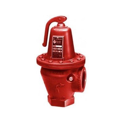 110084 (Bell & Gossett) | 4100-36 36# Relief Valve