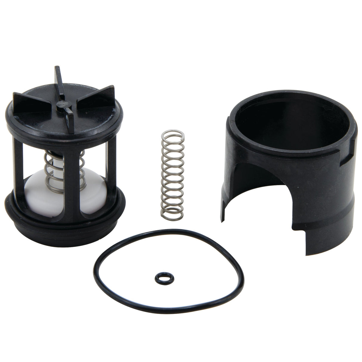 0887974 (Watts) | RK 008 T 3/4 to 1 | Check Repair Kit