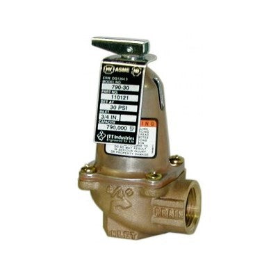 110121 (Bell & Gossett) | 790-30 30# Relief Valve