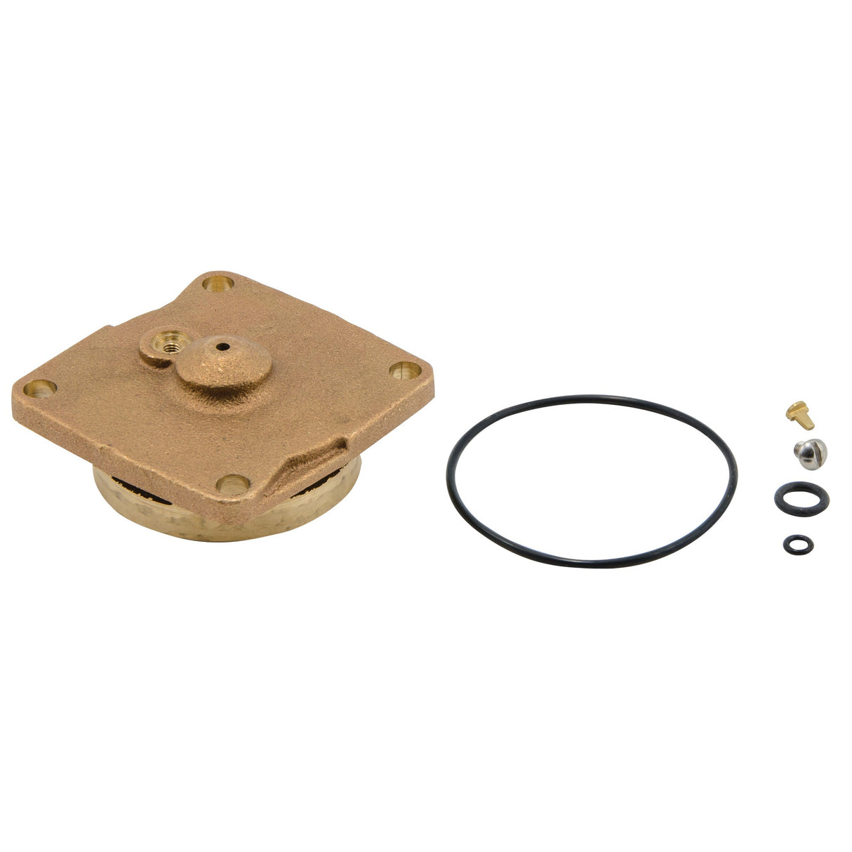 0887013 (Watts) | RK 009-C 3/4-1 | Cover Kit