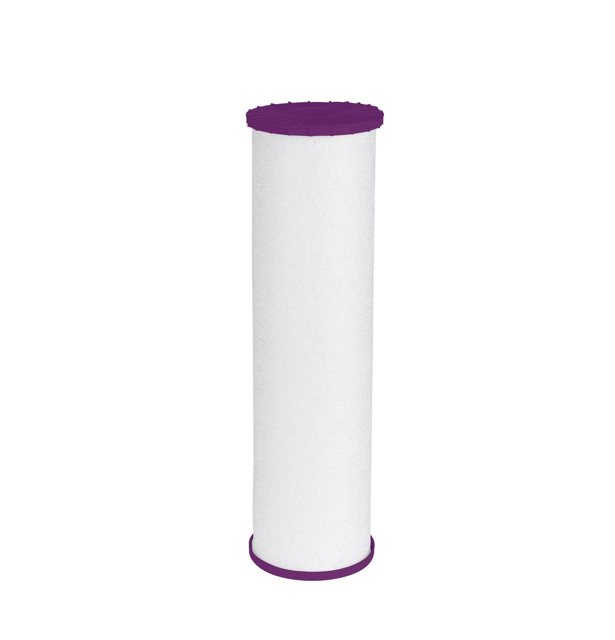 GE Household Replacement Filter - FTHPM