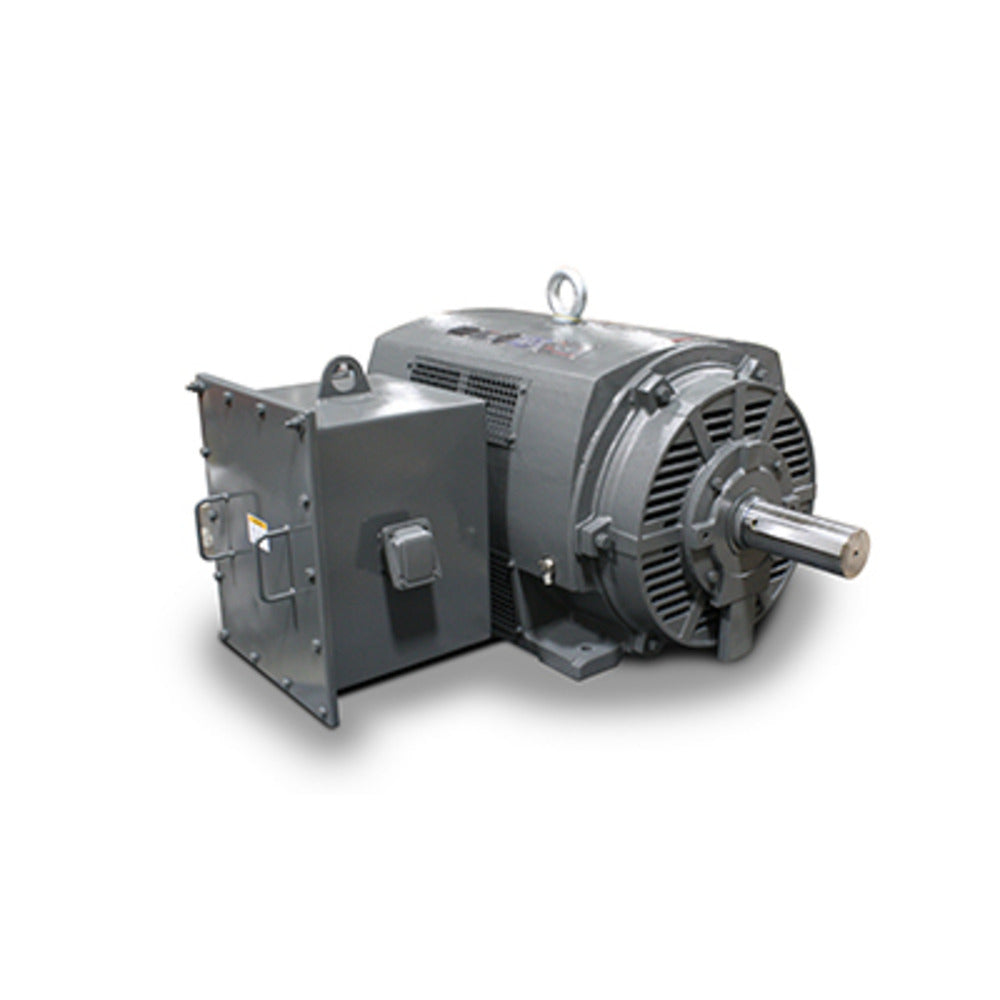 PG1006 (Teco) | Medium Voltage Motor | 100 HP | 3 Phase | WPI | 1200 RPM | 2300/4000 Volts