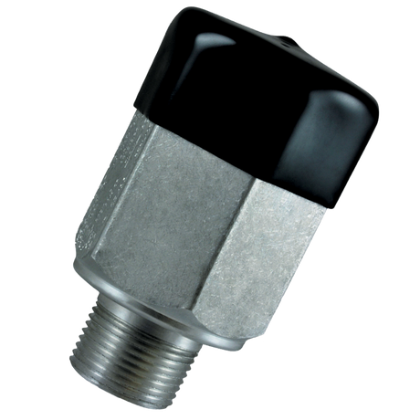 110755 (Squibb Taylor) Valve-Relief 3/4 265Psi