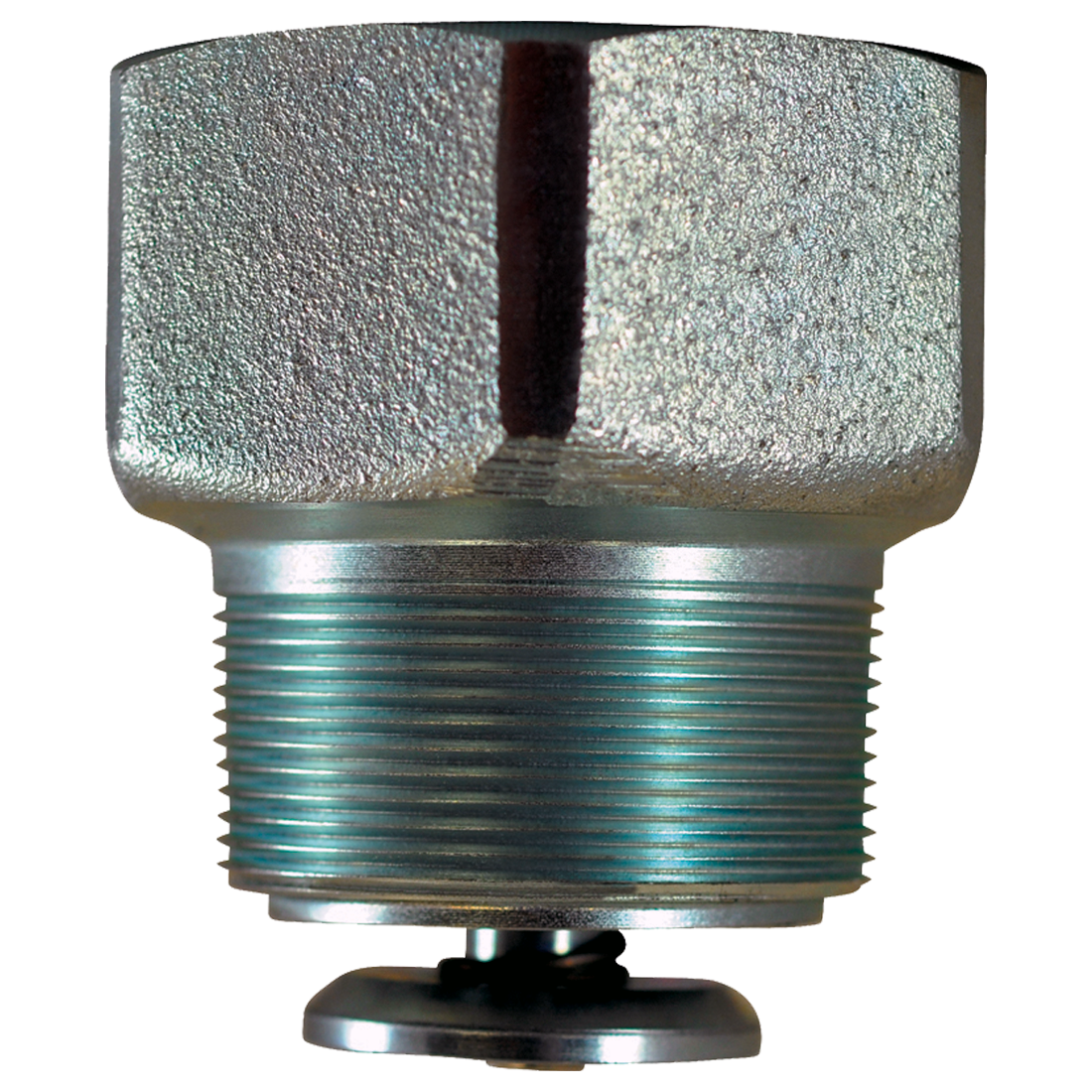 111381 (Squibb Taylor) Valve-Ex Flo 2 Mpt X 2 Fpt 110 Gpm