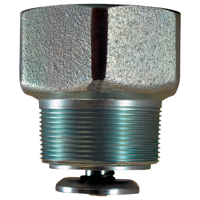 111381 (Squibb Taylor) Valve-Ex Flo 2 Mpt X 2 Fpt 110 Gpm