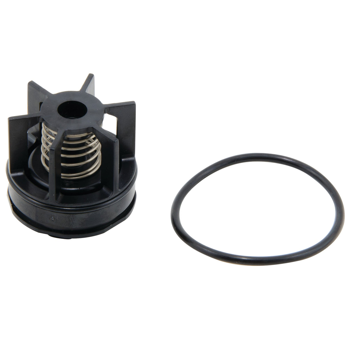 0888551 (Watts) | RK 007 M3 CK2 3/4 | 2nd Check Repair Kit