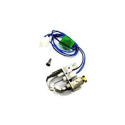 9043-427 (Bard) | Pilot/Ignitor Assembly