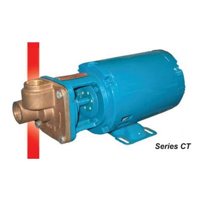 113225 (Burks) | Pump CT5M 1/2HP 3PH 3450RPM BF
