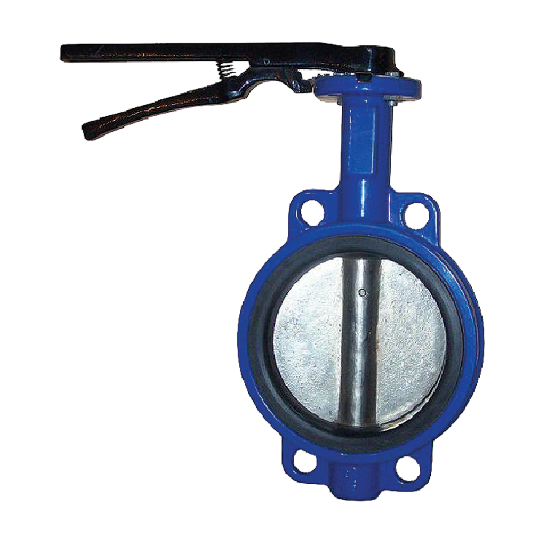 CSEL020000 | Valve-2 Bf Ss Stem/Disc Epdm Seat