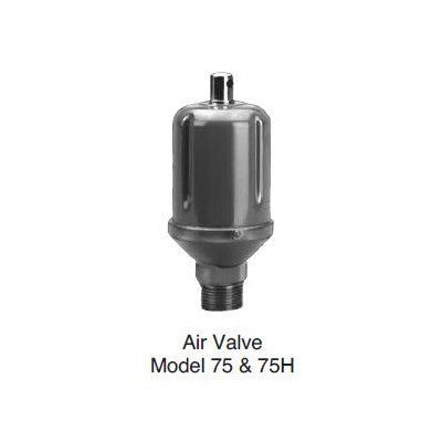401434 (Hoffman Specialty) | 401434 Main Steam Vent 1/2 FPT X 3/4