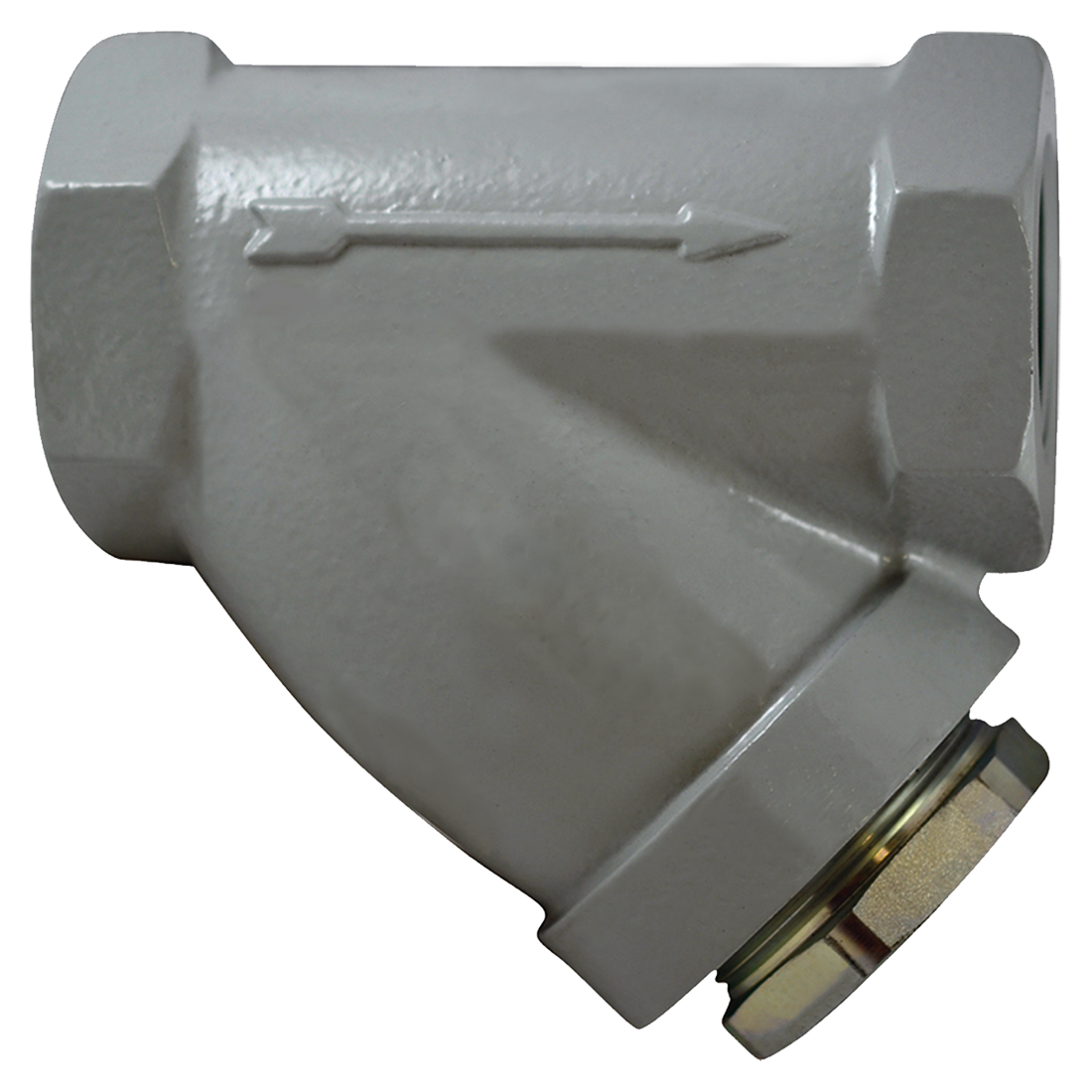SC0125B112AD-20S (Paget Strainer) Strainer-1-1/4 Sty B Scrn 20Msh Ss Plug