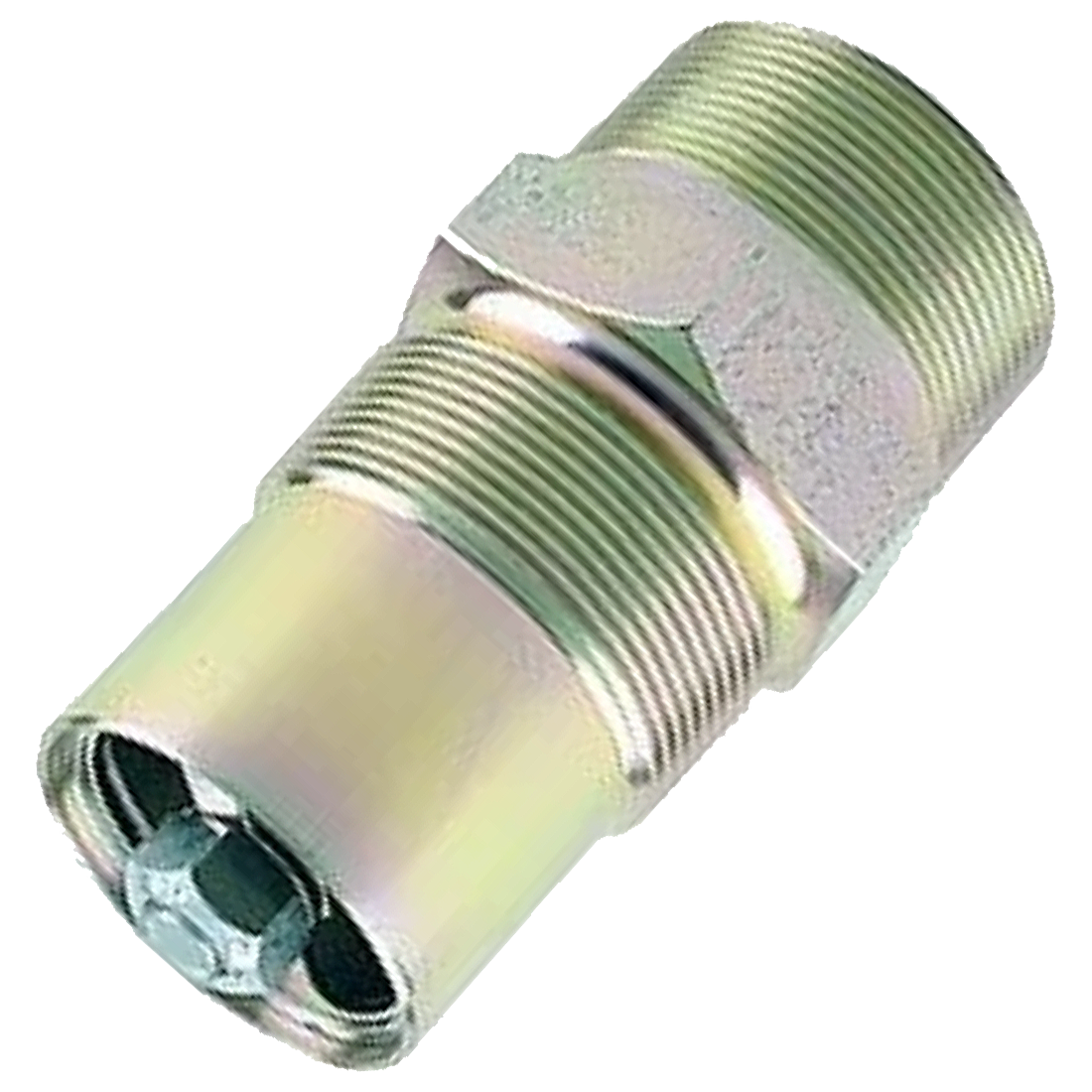 G105 (Fisher) Valve-Bck Check 2X2Mpt Or 1-1/4 Fpt Stl