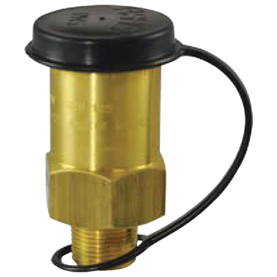H125-250 (Fisher) Valve-Relief 1/2 Npt 250 Psig Set Point