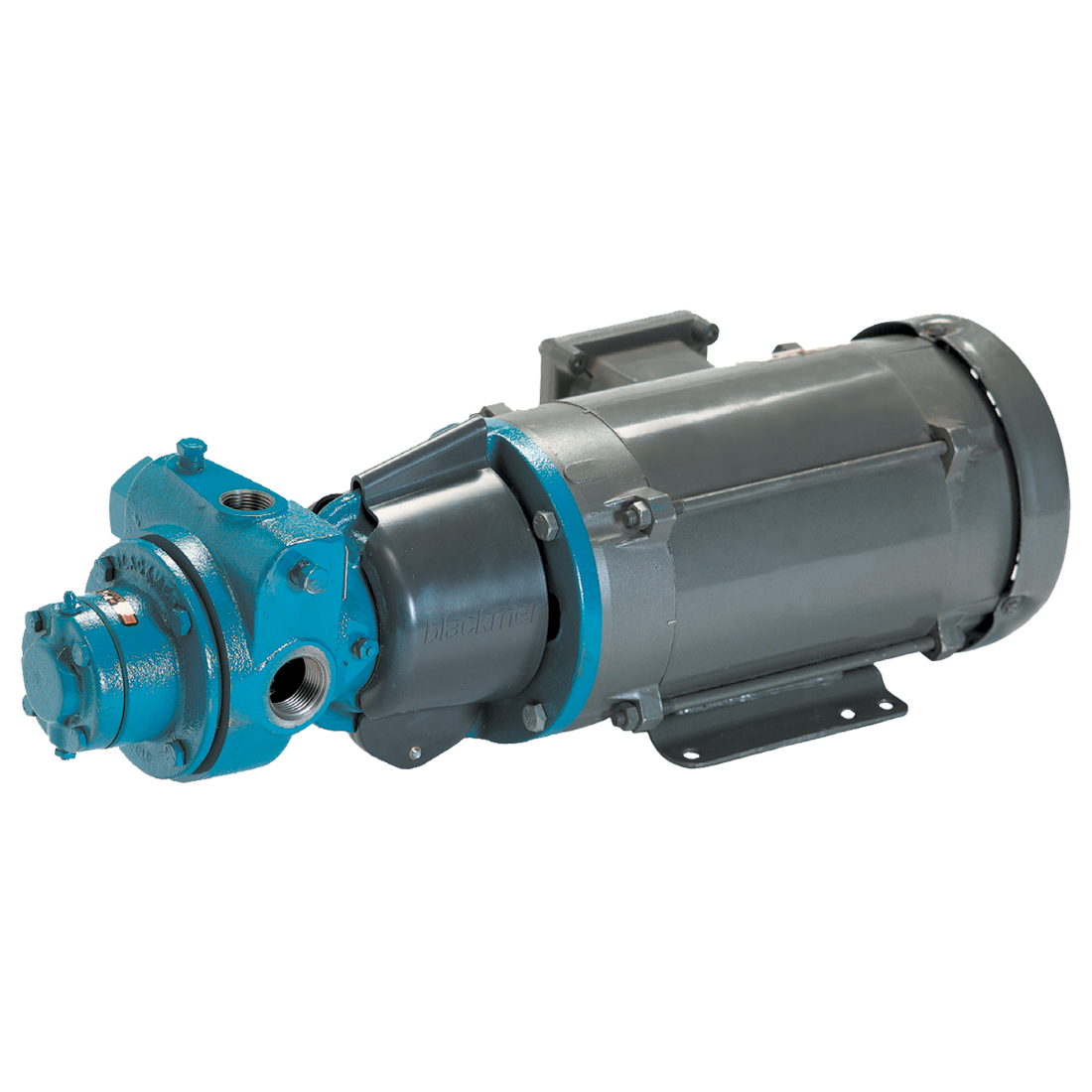 LGF1PE-4-1R-Q0-1-B-1-N-000-0-PUMP ONLY (Blackmer) Pump-1 Tapped Por Lp Flg Mt-Btl Fill