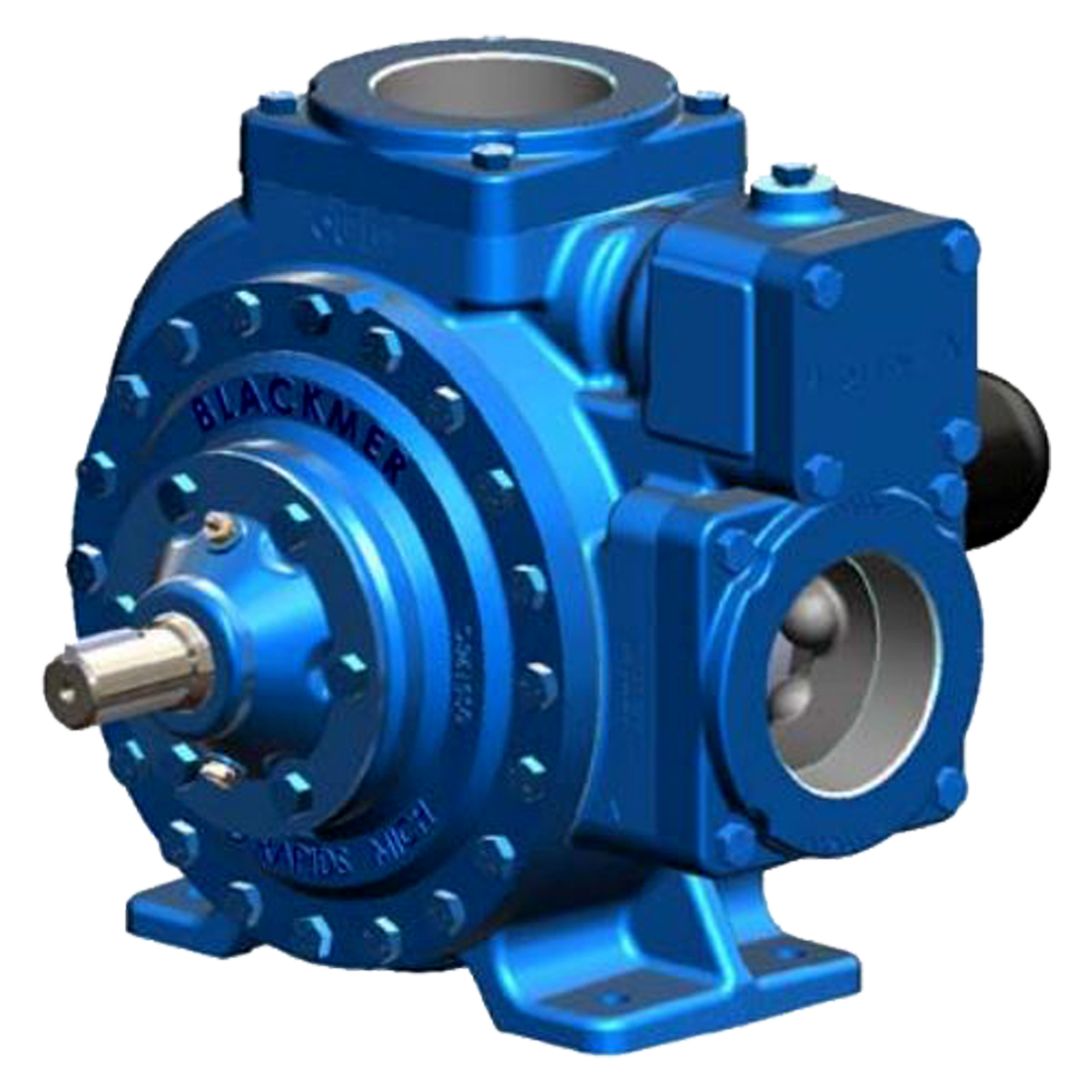 LGL3021A-4-40-QA-1-B-1-000-N-PUMP ONLY (Blackmer) Pump-3 Lp/Nh3 Duct Sld Vns Dropin 1021E