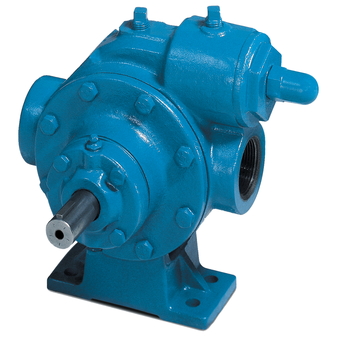 LGLF1.25A-4-AR-Q0-1-B-1-N-000-0-0-PUMP O (Blackmer) Pump-1-1/4 Duct Irn Ftd Mtr Adpt Code N