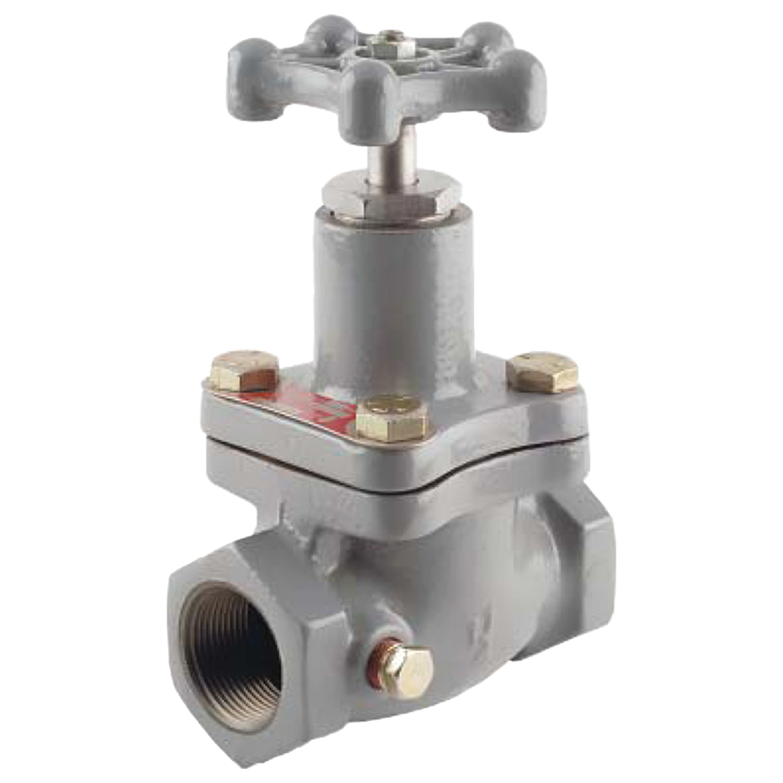 N310-12 (Fisher) Valve-Globe 1-1/2 Fpt