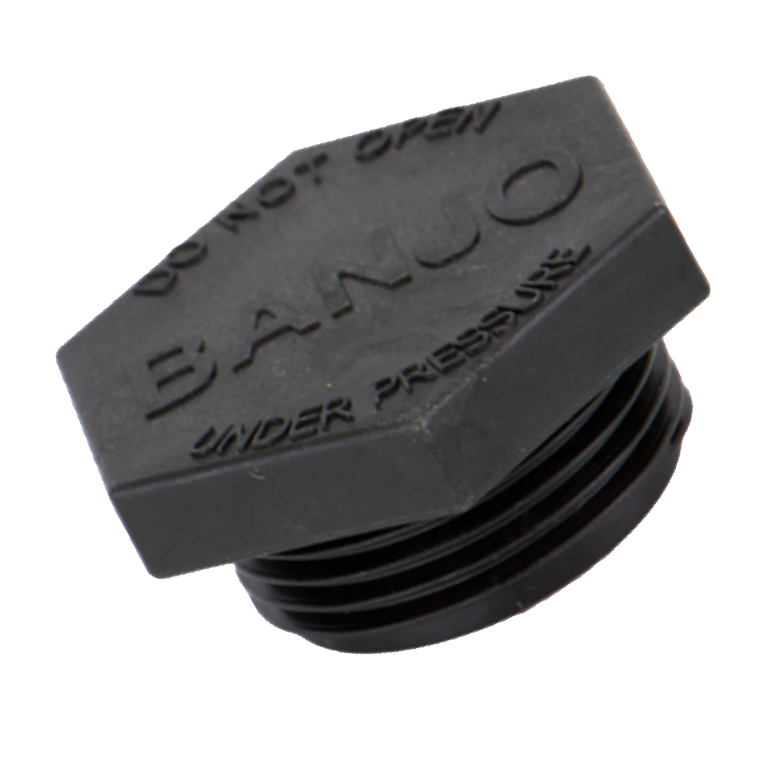 LSQ200-PL (Banjo) Plug-2 Fp Mfld Strainer