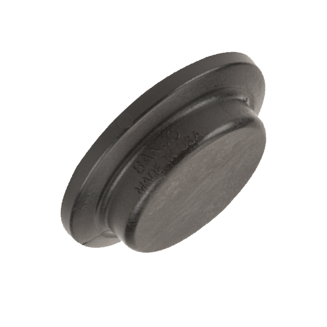 M220PLG (Banjo) Plug-2 Fp Flg Solid