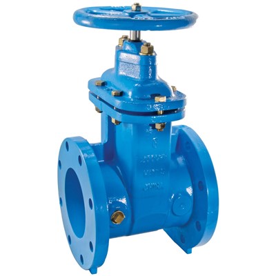 0700106 (Watts) | 6 405-RW | NRS Gate Valve