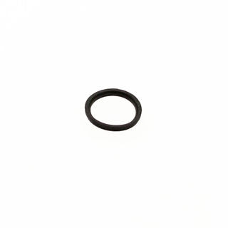 Viper Engine (300481) - O-Ring Carburetor Viper E43