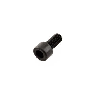 Earthquake (19919) - Bolt M6-1.0 X 10 Srhcs