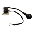 Earthquake (300436) - Ignition Coil