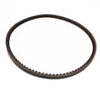 Ardisam (24995) - Belt
