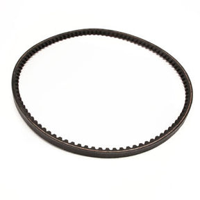 Ardisam (24995) - Belt