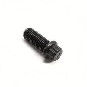 Earthquake (420) - Bolt 5/16-24 X 3/4 12Pfcs Gr2