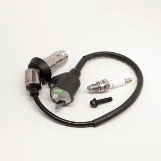 Earthquake (20560) - Kit - Spark Plug With Ignition C