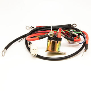 Earthquake (21868) - Wire Harness Complete Mower