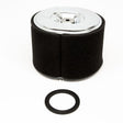 Earthquake (64124) - Filter Element Air 389cc Vipe