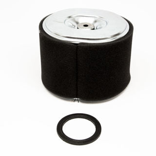 Earthquake (64124) - Filter Element Air 389cc Vipe