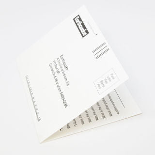 Earthquake (WCARDEQ) - Warranty Card