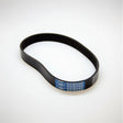 Ardisam (332045) - Belt Forward