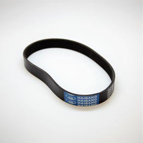 Ardisam (332045) - Belt Forward
