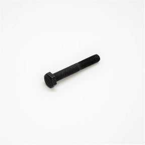 Earthquake (10080552B) 10080552E - M8 X 55 mm Hex Head Bolt