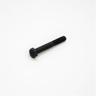 Earthquake (10080552B) 10080552E - M8 X 55 mm Hex Head Bolt