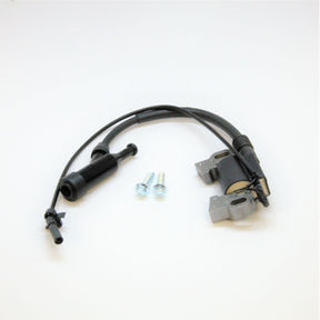 Viper Engine (26768) - Kit - Ignition Coil & Hardware R300 Carb